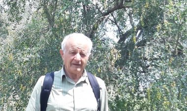 زهرة اللوتس الأزرق  -    Nymphaea caerulea