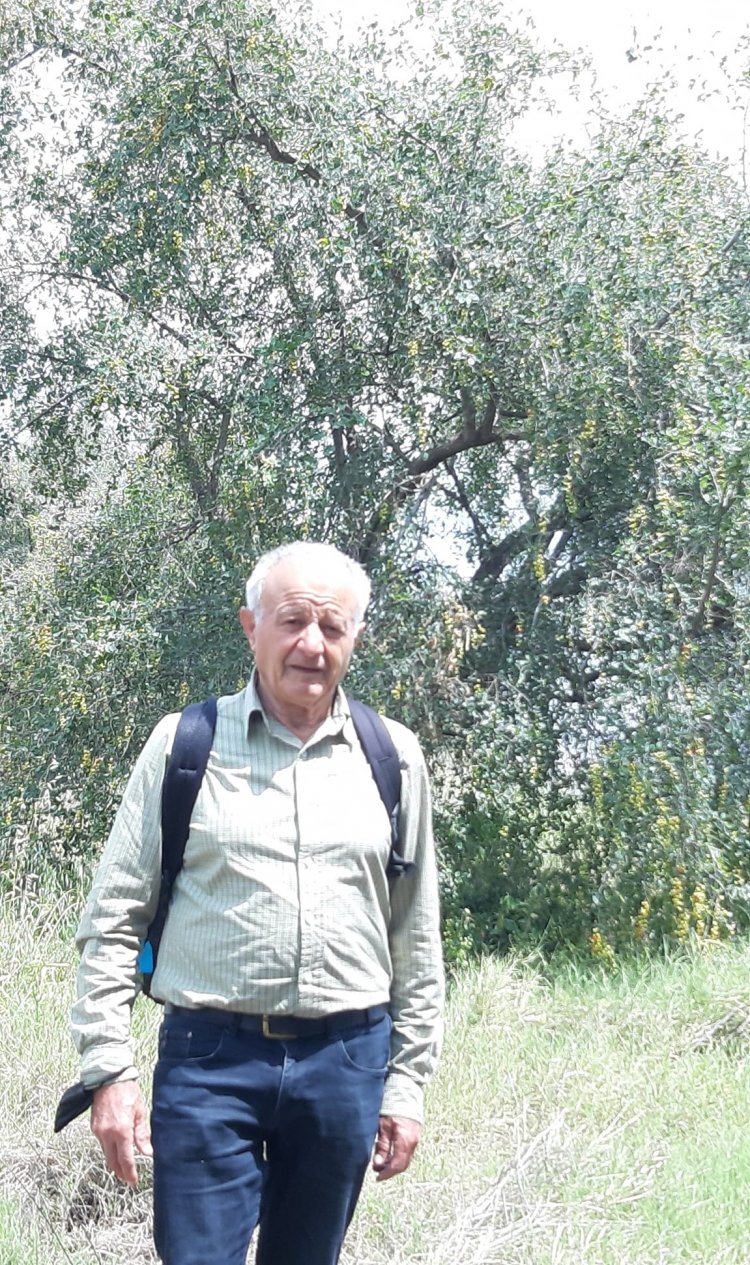 زهرة اللوتس الأزرق - Nymphaea caerulea