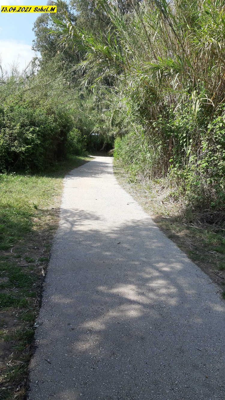 بحيرة طبريا ومسار المجرسة