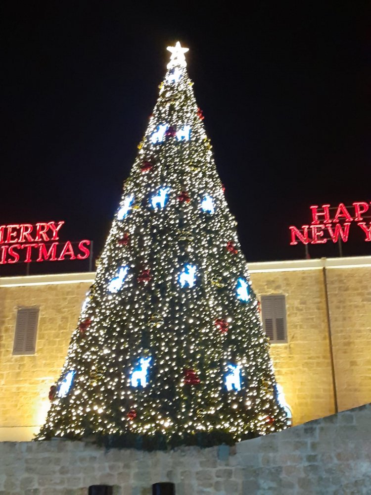 شفاعمرو تحتفل بإضاءة شجرة الميلاد بمسيرة جماهيرية وحفل متواضع