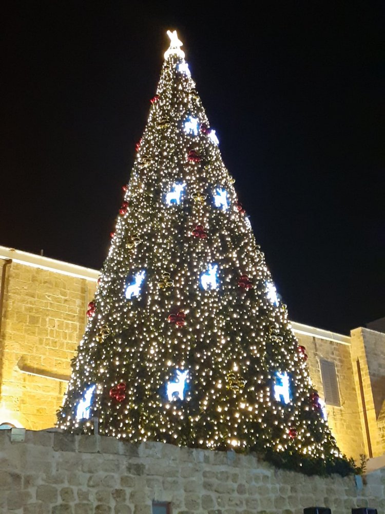 شفاعمرو تحتفل بإضاءة شجرة الميلاد بمسيرة جماهيرية وحفل متواضع