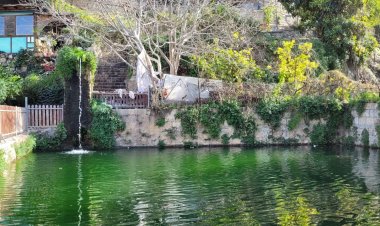 بتير بلدة فلسطينية في ضواحي القدس .. عريقة بتاريخها وتراثها وطبيعتها الساحرة