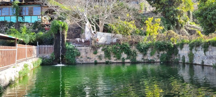 بتير بلدة فلسطينية في ضواحي القدس .. عريقة بتاريخها وتراثها وطبيعتها الساحرة