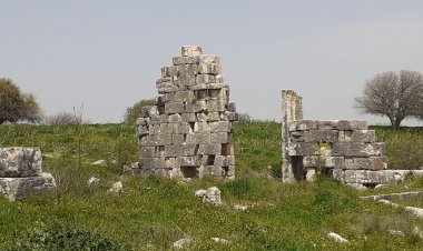 تل القدس بقايا قرية فلسطينية في إصبع الجليل وآثار رومانية