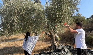 سرية كشافة ومرشدات مار فرنسيس الرملة تنظم فعاليات خاصة بالزيت والزيتون