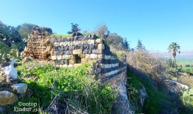 إندور – عين المأوى على سفح جبل الدحي في مرج ابن عامر - بلدة الثوار والصبار والزيتون