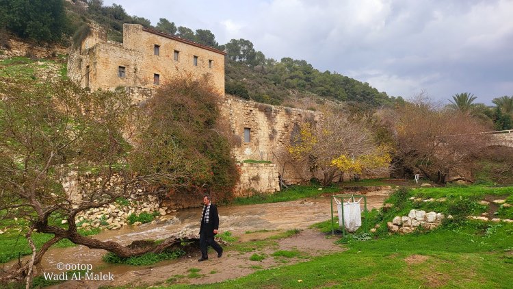 وادي الملك وطاحونة الراهب والزيتون على ضفاف المياه