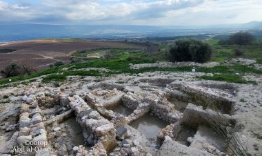 قرية آبل القمح - زيتون ولوز ونوّار