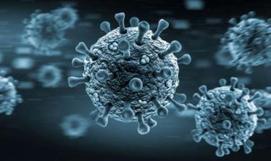 الصحة العالمية: لن نتراجع عن خططنا لمعرفة منشأ فيروس كورونا