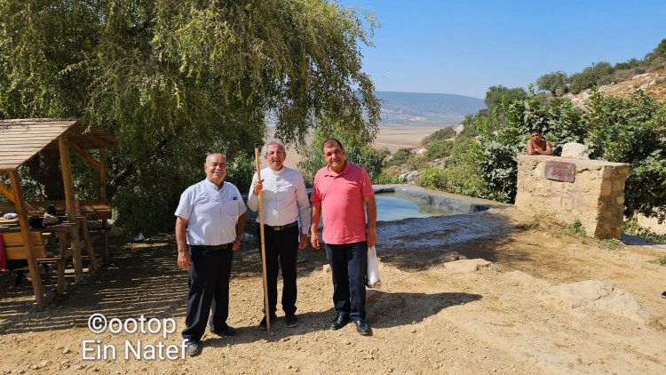 عين ناطف/ عين العذراء المشرفة على سهل البطوف في الجليل