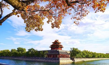 مساهمات صينية متزايدة في حماية التراث العالمي