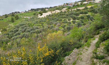 عين بيريا بقرب صفد شاهد على القرية التي اعتمدت على الزراعة