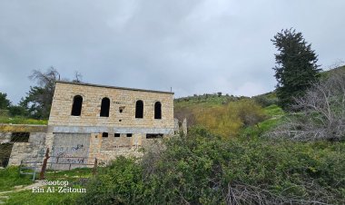 "عين الزيتون" وما بقي منها من حجر وشجر بعد ترحيل البشر