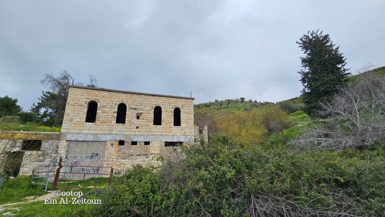 "عين الزيتون" وما بقي منها من حجر وشجر بعد ترحيل البشر