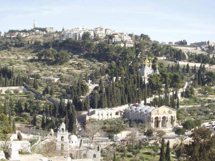 يسوع يغفر للمرأة الزانية - يوحنا ٨: ١-١١