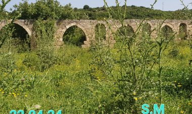 خربة الجعتون قرب الكابري وعائلة سرسق