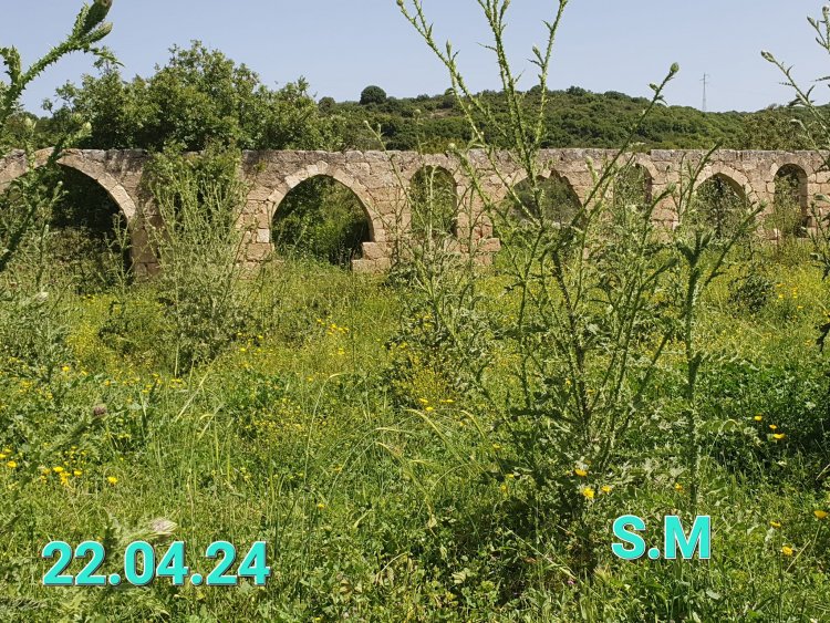 خربة الجعتون قرب الكابري وعائلة سرسق