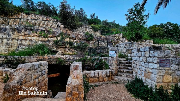 عين الماء في سخنين.. روضة من رياض الجنة بمياهها الصافية والعذبة