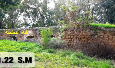 حديقة الينابيع قرب الساخنة القريبة من بيسان