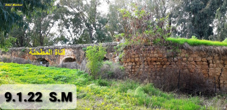 حديقة الينابيع قرب الساخنة القريبة من بيسان