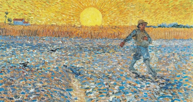 حبة الحنطة يجب أن تموت حتى تعطي ثمرًا - يوحنا ١٢: ٢٤-٢٦