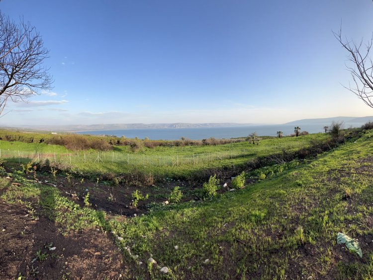 محبة القريب أهم من الصوم - لوقا ٦: ١-٥