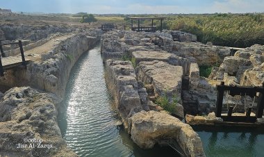 محمية وادي التماسيح المحاذية لقرية جسر الزرقاء على ساحل البحر الأبيض