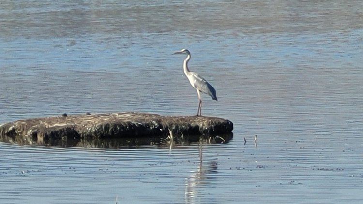إعادة فتح المتنزهات في الشمال بعد وقف الحرب أمام الزائرين