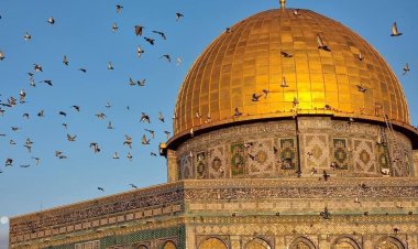 مقابلة مع مدير معهد تيفيريه للحوار لمناسبة بداية شهر رمضان