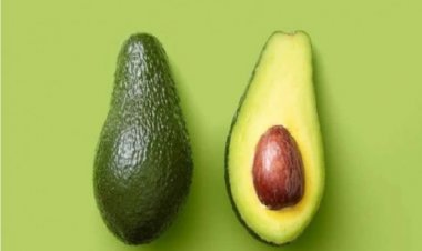 الأفوكادو… فاكهة النوم العميق يساعد على تحسين جودة نومك