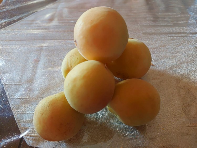 المشمش يحتوي عناصر غذائية تعزز صحة القلب