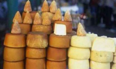 هل يمكن أن تأكل الجبن يوميًا دون قلق على صحة قلبك؟