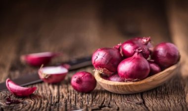 خبيرة تغذية تعلن عن فوائد البصل الجمّة وخاصة لجهاز المناعة