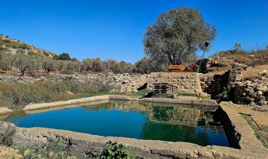 عين وبركة وادي الليمون في عابود قضاء رام الله