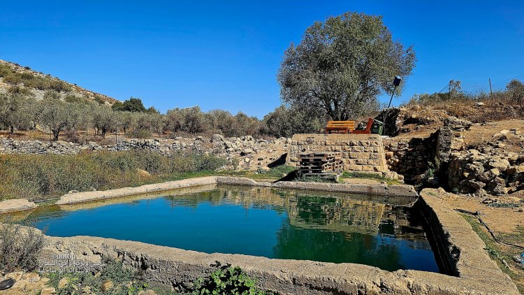 عين وبركة وادي الليمون في عابود قضاء رام الله