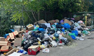 قريبا غرامة 4,000 شيكل لإلقاء النفايات من السيارات في الشوارع