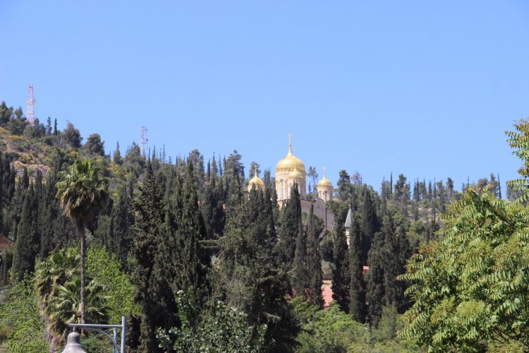 أَقولُ لكم: كُلُّ مَن كانَ له شَيءٌ، يُعْطى - لوقا ١٩: ١١-٢٨
